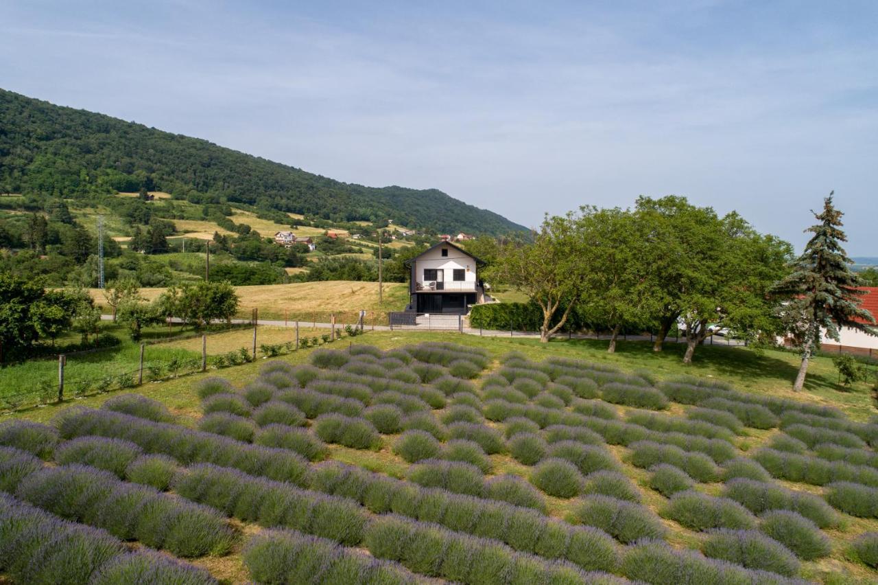 Vacation Home - Nest Kalnik Extérieur photo